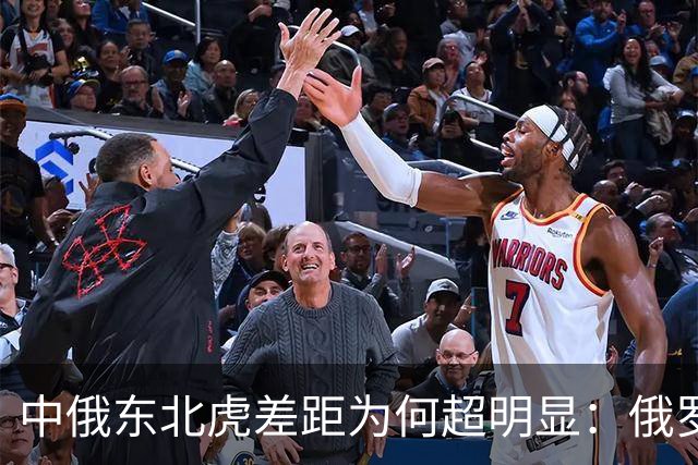 中俄东北虎差距为何超明显：俄罗斯750只，中国的数量令人意外！