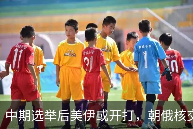 中期选举后美伊或开打，朝俄核交易暗流涌动，中国需在两桥三国中谋势