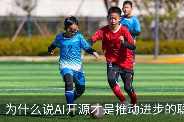 为什么说AI开源才是推动进步的聪明选择？
