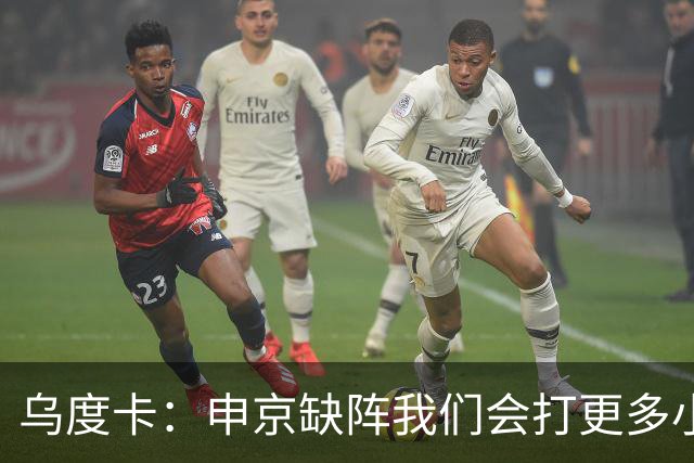 乌度卡：申京缺阵我们会打更多小阵容 希布韦会得到出场机会