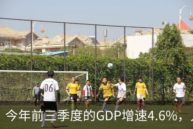 今年前三季度的GDP增速4.6%，人均收入暴涨5.3%，网友说：我个人GDP下降了50%！