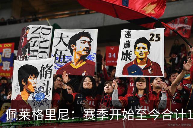佩莱格里尼：赛季开始至今合计18分，我们拿到15分并不容易