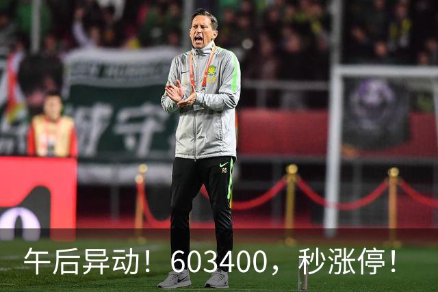 午后异动！603400，秒涨停！