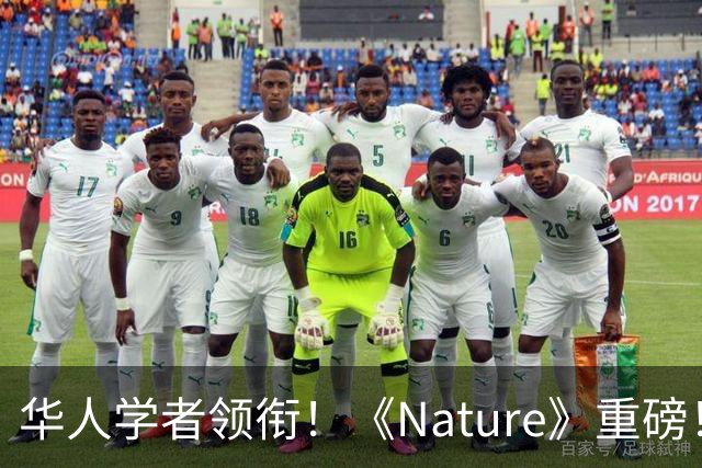 华人学者领衔！《Nature》重磅！论文变身“虚拟通讯作者”，能答疑、能分析！