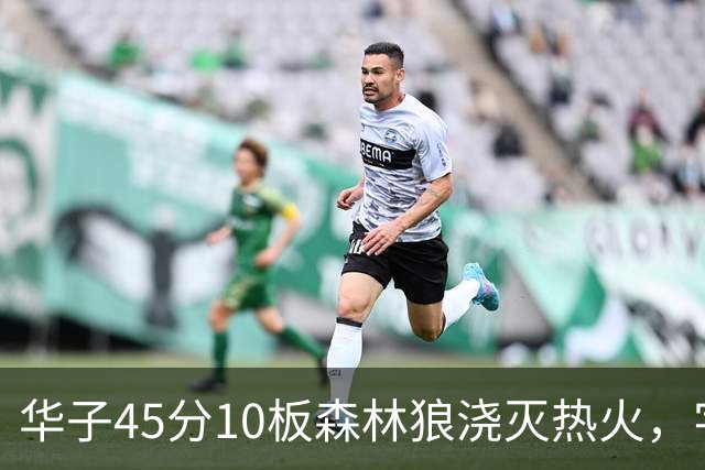 华子45分10板森林狼浇灭热火，字母哥首秀35+6三球21分6助攻