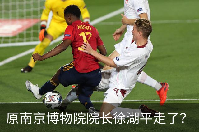 原南京博物院院长徐湖平走了？