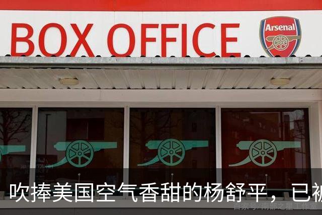 吹捧美国空气香甜的杨舒平，已被美国驱逐出境，回国后处境悲凉