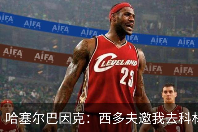 哈塞尔巴因克：西多夫邀我去科林蒂安当助教