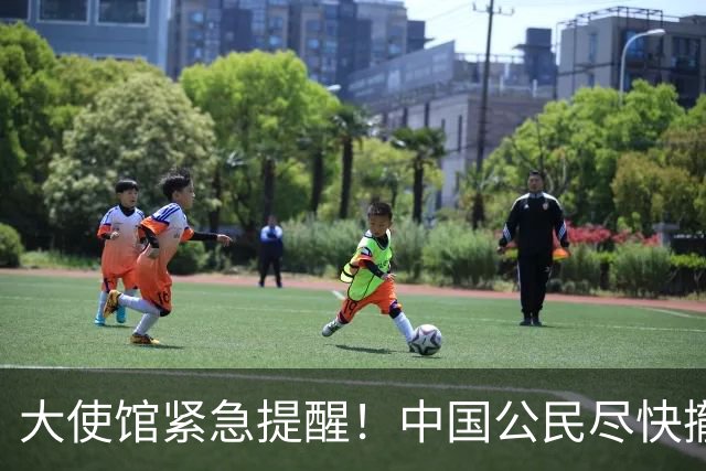 大使馆紧急提醒！中国公民尽快撤离，死亡病例超4000人，无特效药
