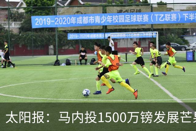 太阳报：马内投1500万镑发展芒果产业，计划为家乡创造1000个岗位