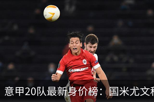 意甲20队最新身价榜：国米尤文科莫前三，仅莱切未过亿