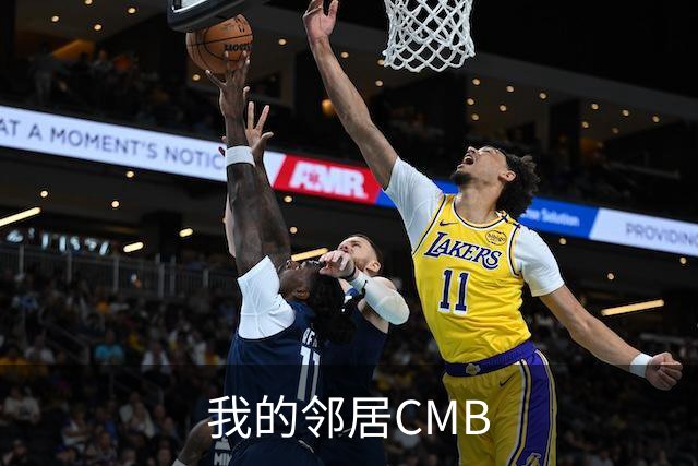 我的邻居CMB
