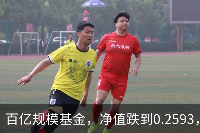 百亿规模基金，净值跌到0.2593，暴跌74%，亏得基民都不敢看账户