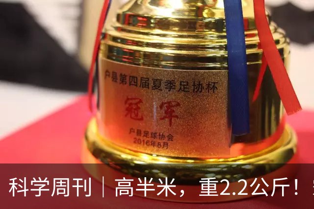科学周刊｜高半米，重2.2公斤！霸王滇菌是怎么长到这么大的？大风新闻专访微生物研究专家