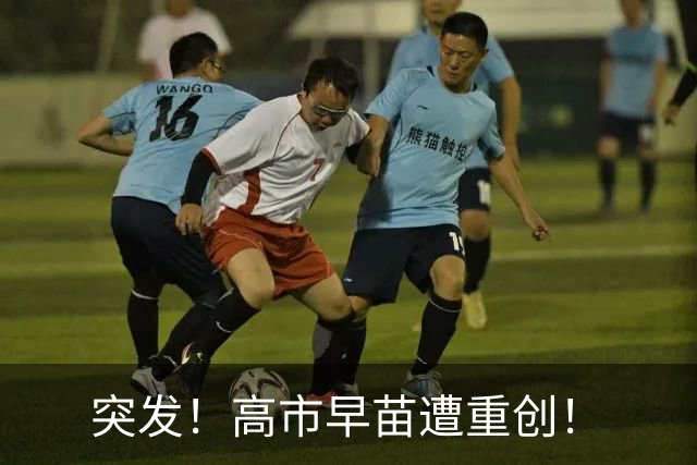 突发！高市早苗遭重创！