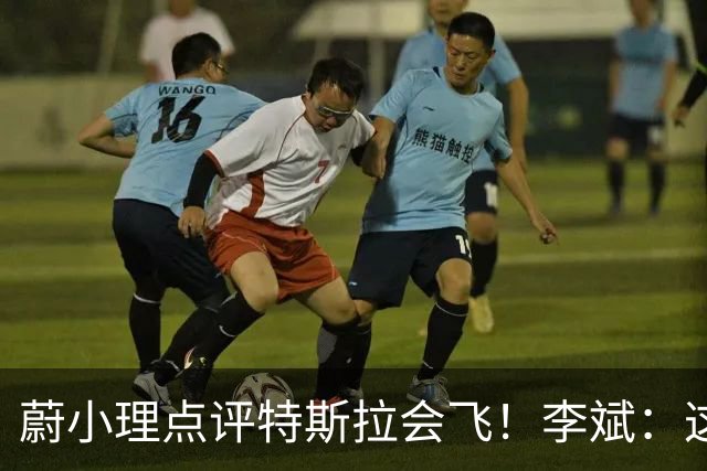 蔚小理点评特斯拉会飞！李斌：这个我们真没有 理想高管：面目全非