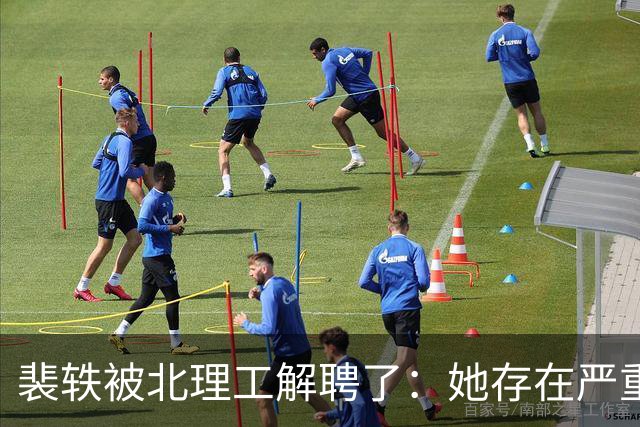 裴轶被北理工解聘了：她存在严重违反职业道德规范和行为准则等行为