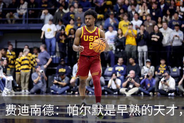 费迪南德：帕尔默是早熟的天才，英格兰任何名单都不应该少了他