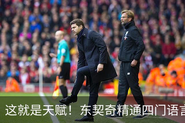 这就是天赋！东契奇精通四门语言 仅用三个月速成西班牙语