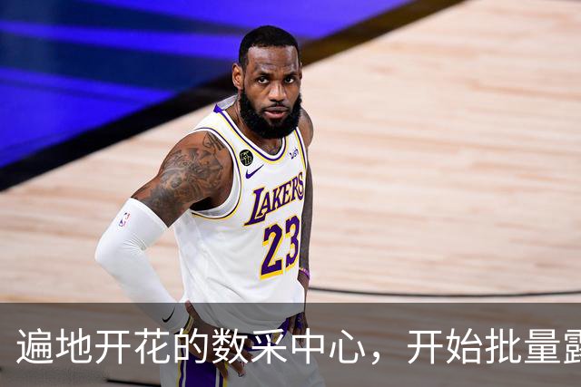 遍地开花的数采中心，开始批量露馅
