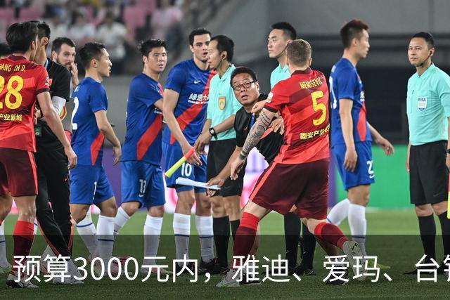 预算3000元内，雅迪、爱玛、台铃、九号、小牛、金箭内行这么选？