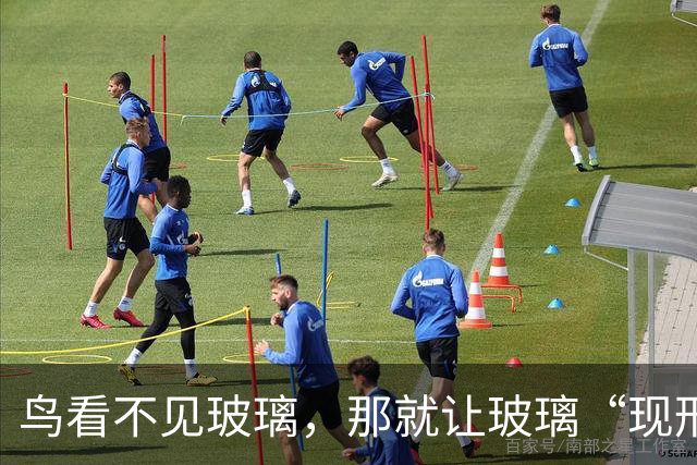 鸟看不见玻璃，那就让玻璃“现形”，仙湖植物园为鸟改造玻璃
