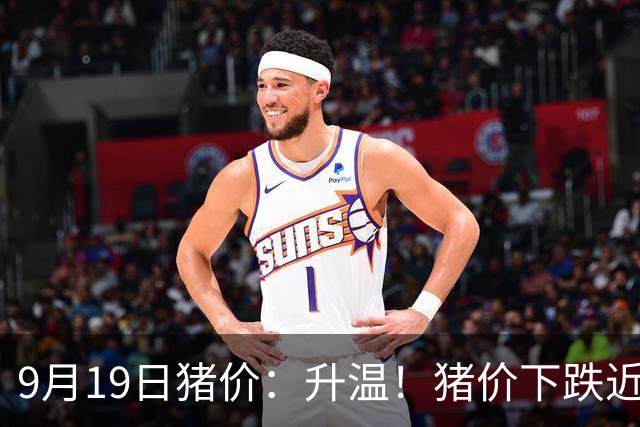 9月19日猪价：升温！猪价下跌近乎“熄火”，南北多地“雷霆”上涨！发生了啥？